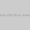 Histone H3K79me1 Antibody